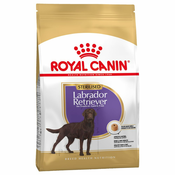 Royal Canin Breed German Shepherd Adult - Varčno pakiranje: 2 x 11 kg