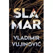 Slamar - Vladimir Vujinovic