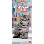 Whiskas Katzenleben Kalender 2027