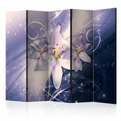 Paravan u 5 dijelova - Wintry Galaxy II [Room Dividers] 225x172
