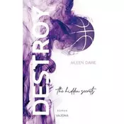 DESTROY the hidden secrets (DESTROY-Reihe 1)