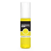 Pigmentna pasta za dekoracijo sten 20 ml | Yellow