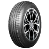 Delmax UltimaPro UP1 ( 215/60 R16 95H )