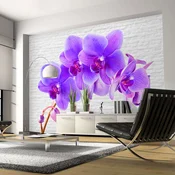 Foto tapeta - Violet excitation 300x210