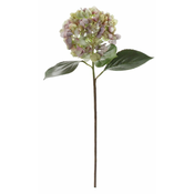 Shishi Hortenzija vijolično zelena, 70 cm