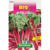 BLITVA RHUBARB CHARD - Big pack 20g