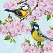 Serviete za decoupage Tits on Cherry Blossom Twig - 1 kos