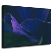 shumee Platno z motivom Botanike Vijolični cvetni listi 40x30
