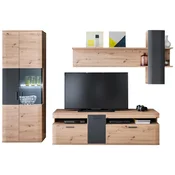 Livetastic DNEVNI REGAL, antracit, prozorno, barve hrasta