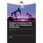 Analyse transitoire des débits via lintelligence artificielle
