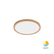 BRAYTRON JADE SLR stropna svetilka LED 20W CCT IP40 naravna