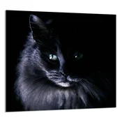 shumee STEKLENA PLOŠČA ZA KUHINJO 65x60 Cat