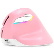 DELUX Brezžična miška Delux M618-P Mini 2.4GHz USB Type-C, (21580293)
