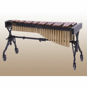 KSILOFON ADAMS CONCERT XC2HV40
