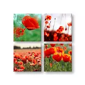 Slike na platnu Meadow of poppy poppies Kolaž XOBKOL17E42, 4-delni