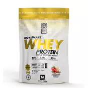 100% Smart Whey Protein - 500 g -