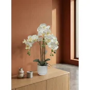 Umetna orhideja bela 52 cm Eterna - bela - 50 do 75 cm - 31 do 50 cm
