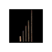 Dežna palica 25cm kaktus 383401L-25