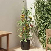 vidaXL Rastlinski pridelovalec paradižnika Črna O 32 x 127 cm PP