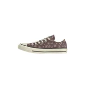 CONVERSE Nizke superge CTAS mokka/večbarvno lila