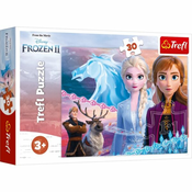 Puzzle 30 Frozen