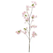 Mömax Veja S Češnjevimi Cvetovi Kirschblüte I -Paz-