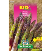 ŠPARGLJI - Big pack
