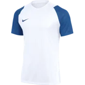Nike Dres Dri-FIT Academy II