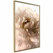 Poster - Bloom 40x60
