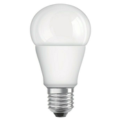 Nevtralna LED žarnica z žarnico E27, 5,5 W – Candellux Lighting