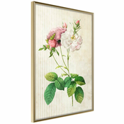 Poster - Romance I 40x60