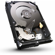 SEAGATE HDD trdi disk IronWolf Pro 10TB (ST10000NE0004)