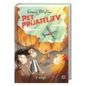 Mladinska Knjiga Pet prijateljev 13 - v megli