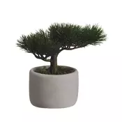 BONSAI