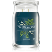 shumee YANKEE CANDLE Signature velika sveča v kozarcu BAYSIDE CEDAR 567 g