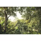 Komar foto tapet XXL4-024