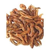Prodac hrana za vodne želve veliki rakci 600g