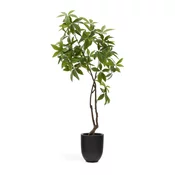 Umetna rastlina (višina 180 cm) Pachira – Kave Home