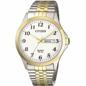 Citizen Quartz BF5004-93A