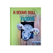 A young bull who overcame floods - Nuša Jezeršek (v angleščini)