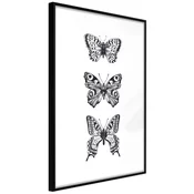Poster - Butterfly Collection III 20x30