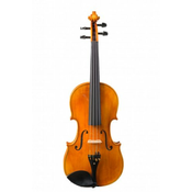 Violina 4/4 Golden Schönbach