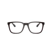 Giorgio Armani Naocare AR 7255 6088