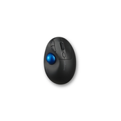 Kensington Pro Fit Ergo TB450 miš Desno RF bežični + Bluetooth Trackball 1600 DPI