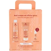Alama Professional Anti Frizz Gift Box darilni set proti krepastim lasem 1 kos