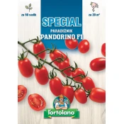 PARADIŽNIK PANDORINO F1