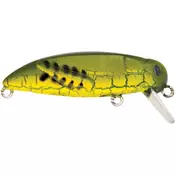 Rapture Grasshopper Springer