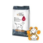 Platinum Dog VetActive Senior 5kg, Hrana Za Starije Pse, Za Bolje Varenje