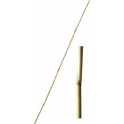 Bambusova palica 61 cm debeline 8-10 mm - 10 kosov