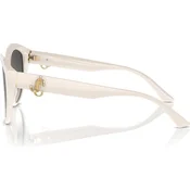 Jimmy Choo Naocare za sunce JC 5007 50088G